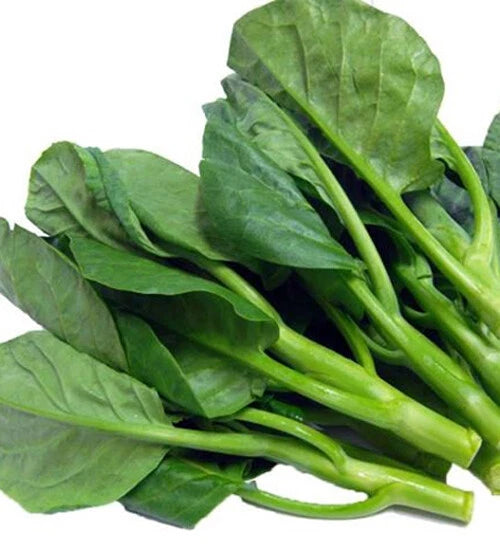 Chinese Kale Seeds - 100+ Seeds Kailaan Gai Lan Choi Vegetable - Brassica oleracea var. alboglabra - USA