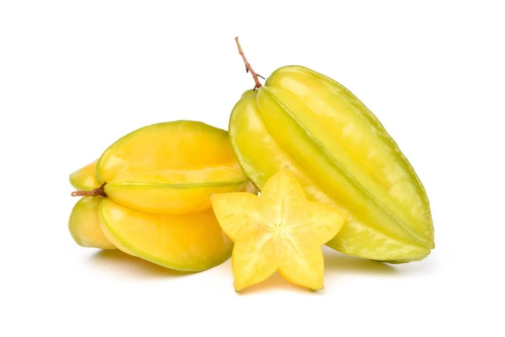 Starfruit Seeds for Planting - 2 Seeds - Wet and Ready to Plant - Averrhoa carambola