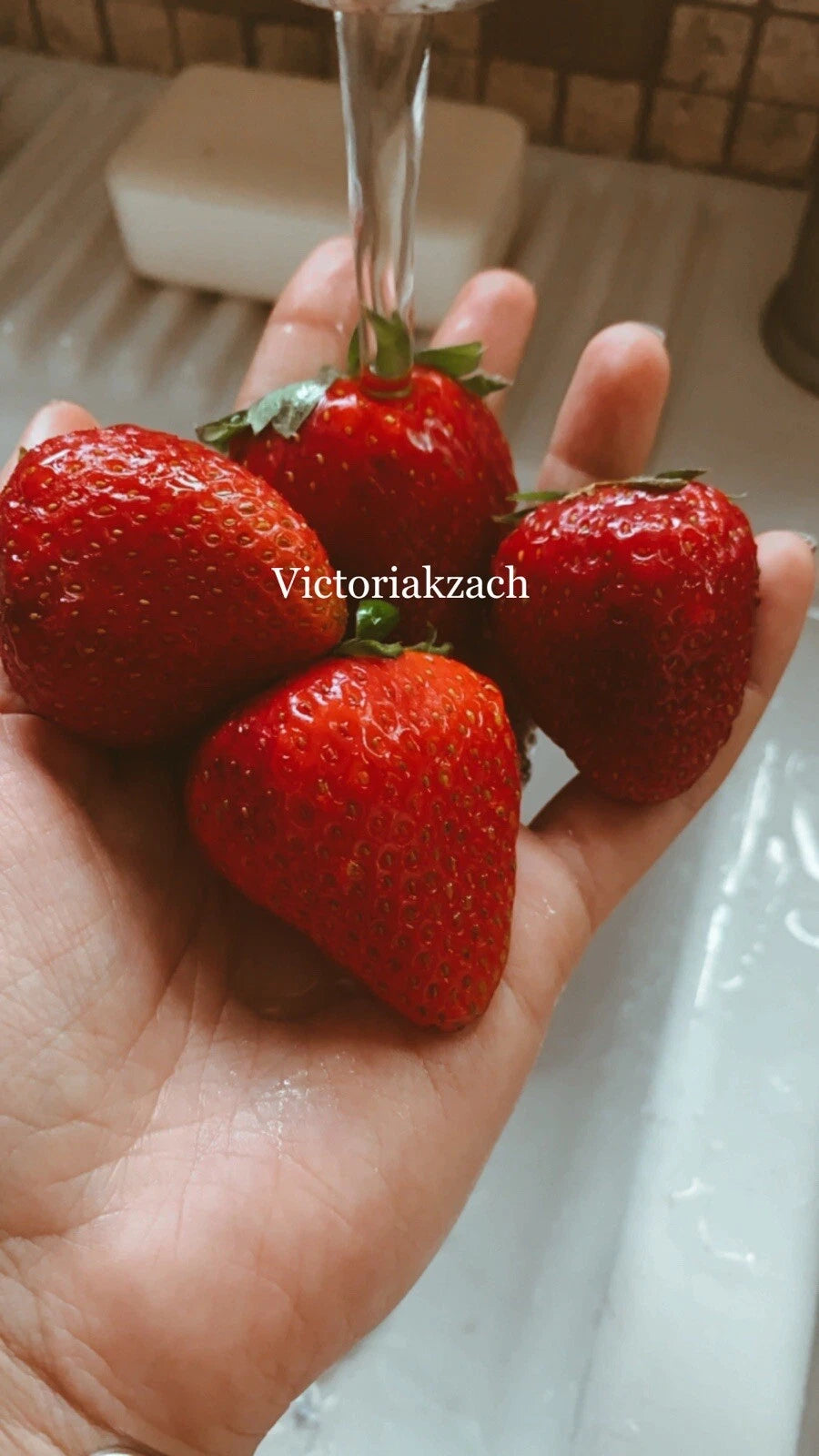 200 Organic Strawberry Seeds - Non-GMO Sweet Berries for Homegrown Edi   Jayme Garden