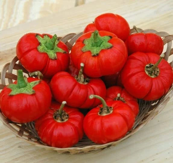 Pepper Pumpkin Seeds for Planting - 5 Rare Seeds - Unique Pepper Variety (Capsicum annuum)