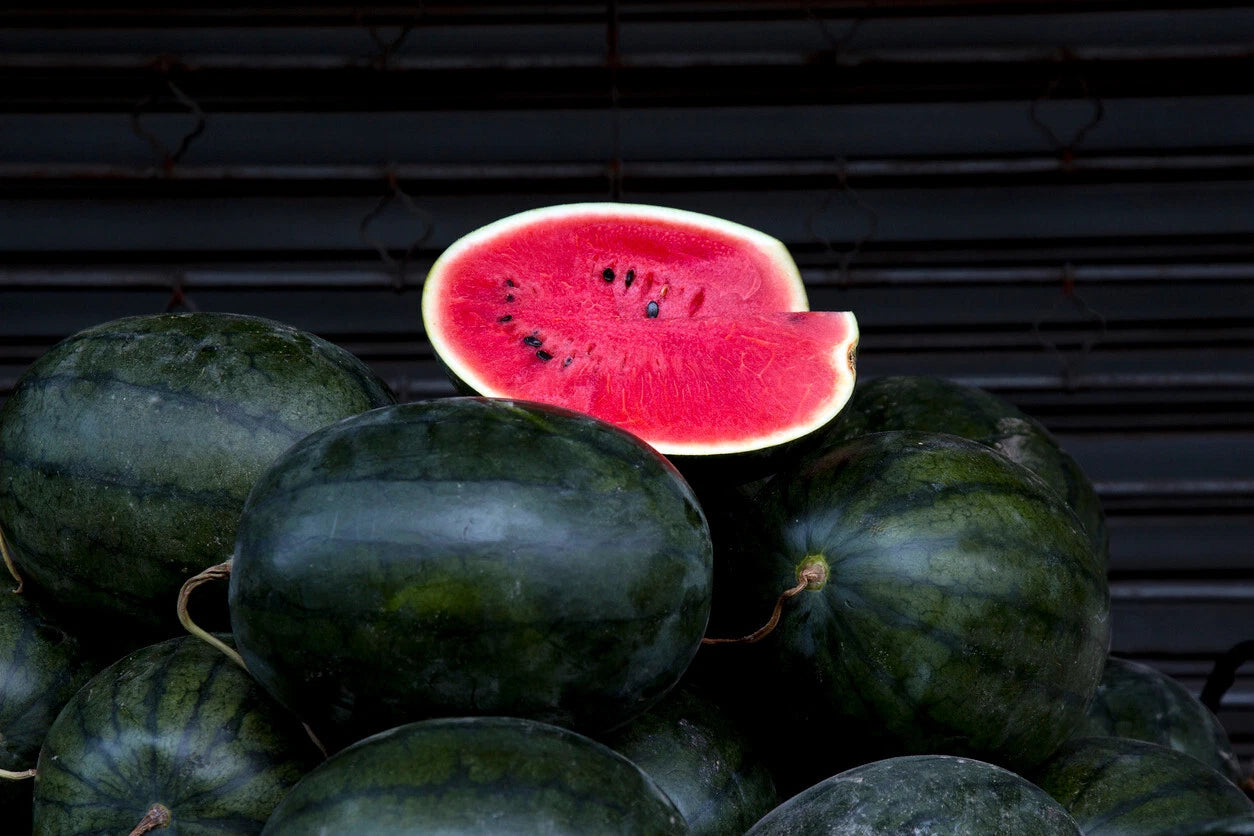 Florida Giant Watermelon Seeds, 10 Count, Black Diamond Variety, Citrullus lanatus