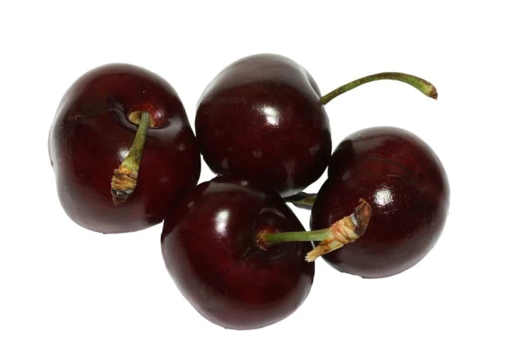 Bada Bing Cherry Seeds - 10+ Count for Garden Planting - Prunus avium - USA Grown, Fast Shipping