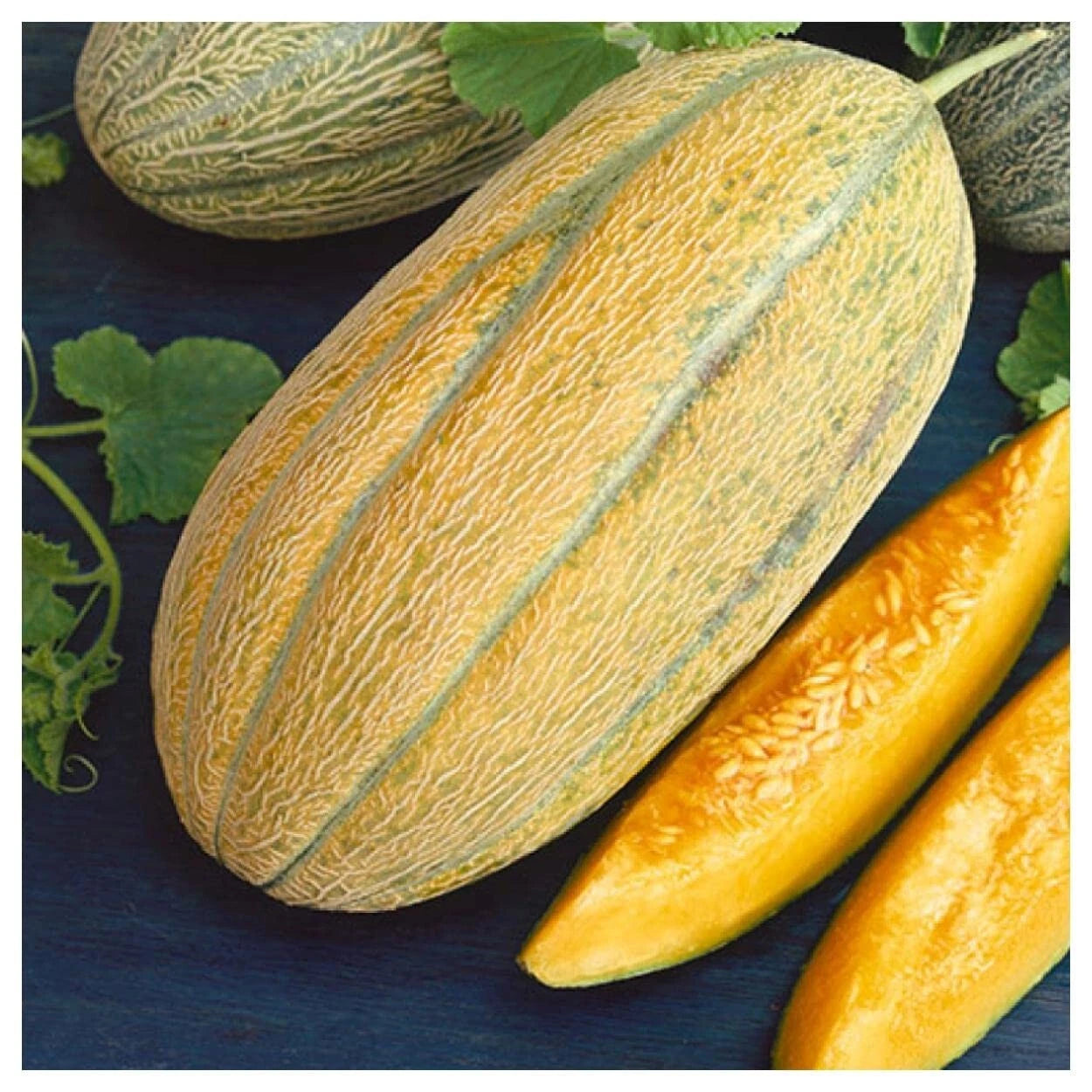Banana Melon Seeds - Non-GMO Aromatic Cantaloupe - Cucumis melo - Free Shipping