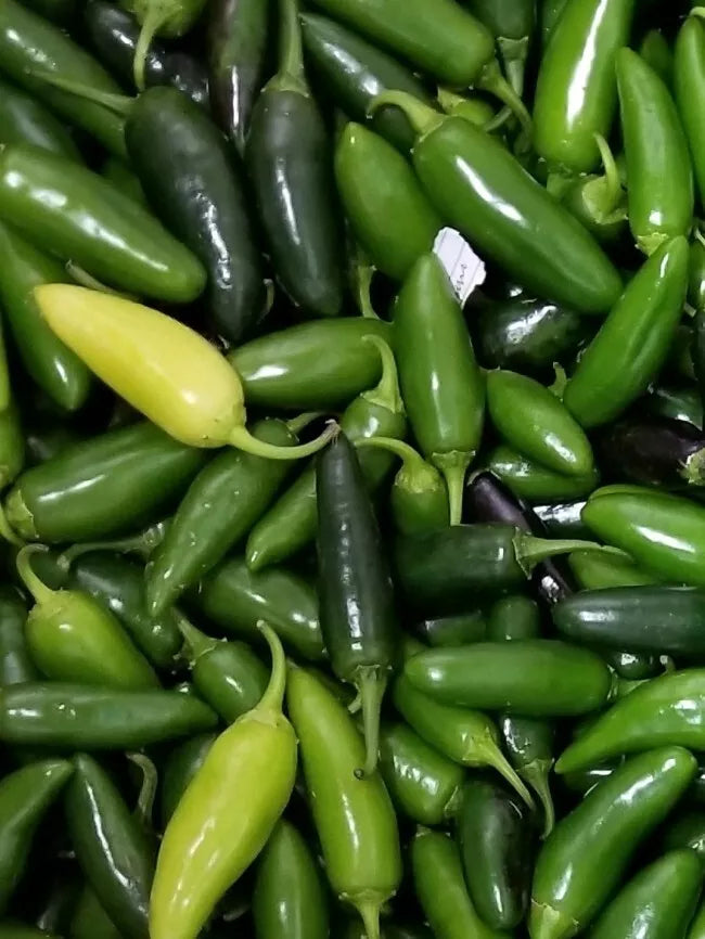 Jalapeno Pepper Seeds 50+ Non-GMO Heirloom Hot Vegetable Capsicum annuum