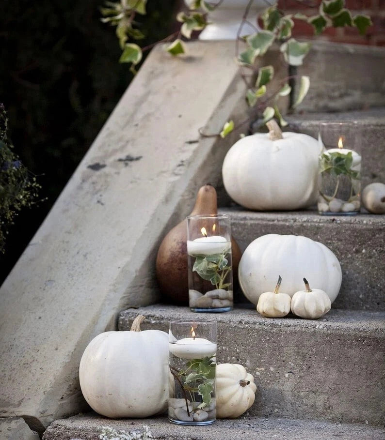 White Pumpkin Seed Collection - Ghost Pumpkin, Casper, Baby Boo - Cucurbita pepo
