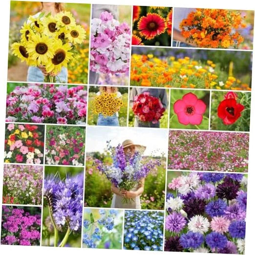 Annual Wildflower Mixed Seeds, 1/4 lb, 120,000+ Seeds for Planting, Colorful Variety for Gardens and Pollinators
