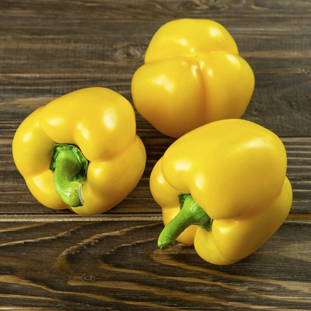 Mini Yellow Bell Pepper Seeds - 100+ Organic Non-GMO - Rare Variety - Capsicum annuum