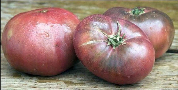 Cherokee Purple Tomato Seeds - 30 Rare Heirloom Seeds - Delicious Black Variety - Solanum lycopersicum