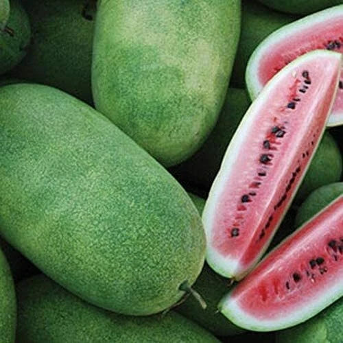 Charleston Grey Watermelon Seeds | Heirloom Non-GMO | Organic Watermelon Seeds | Citrullus lanatus