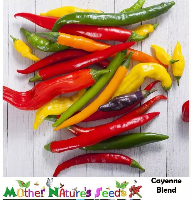 Cayenne Hot Pepper Seeds - Fiesta Blend, Non-GMO, 90 Seeds, 30,000+ Scoville Heat Units, Capsicum
