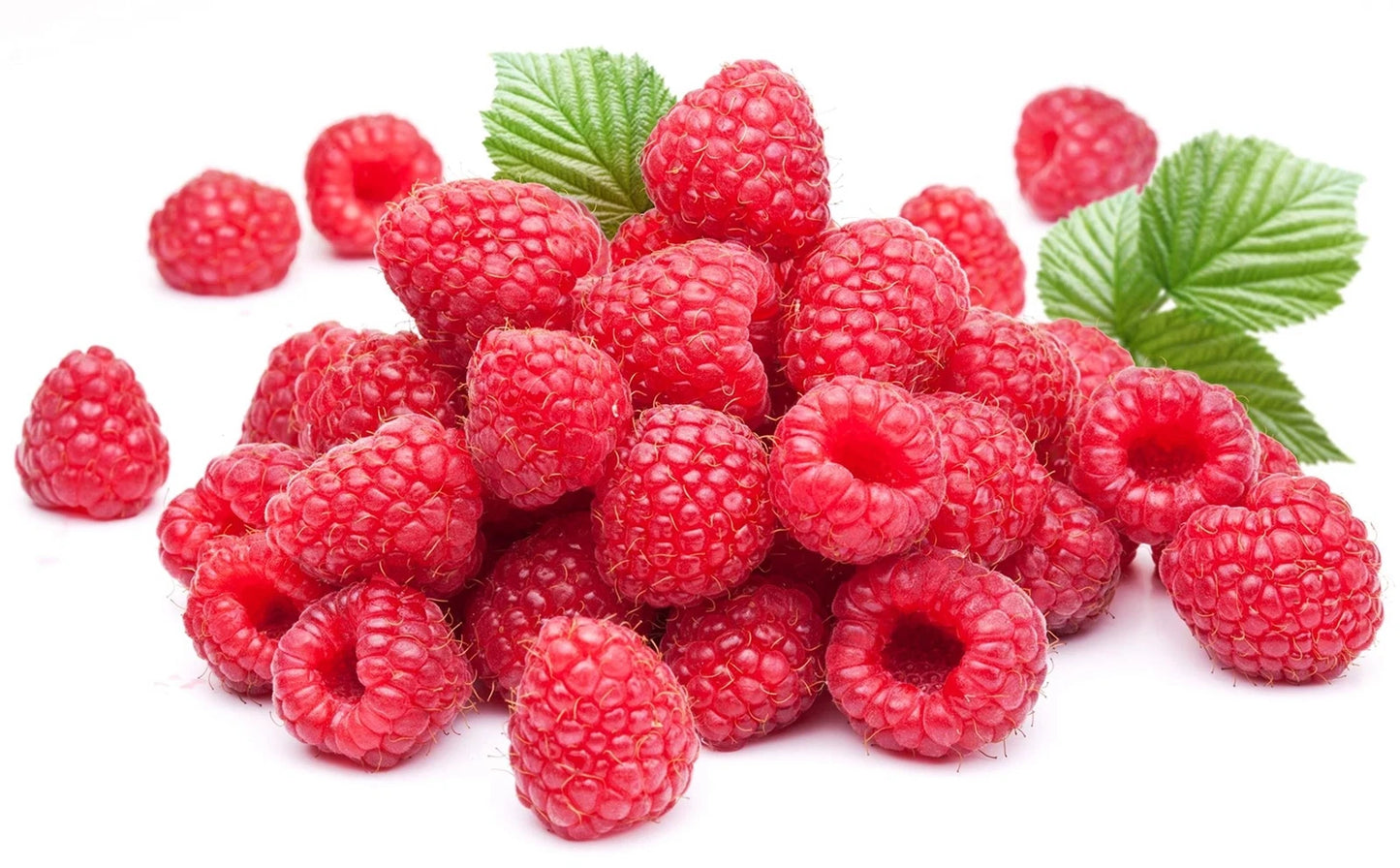 Red Raspberry Seeds - 200 Seeds - Delicious Variety - Rubus idaeus - Made in USA, Ships from Iowa