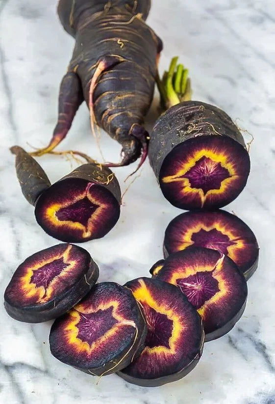 Black Nebula Carrot Seeds - 200+ Heirloom, Organic, Non-GMO, Fresh - RARE Daucus carota subsp. sativus