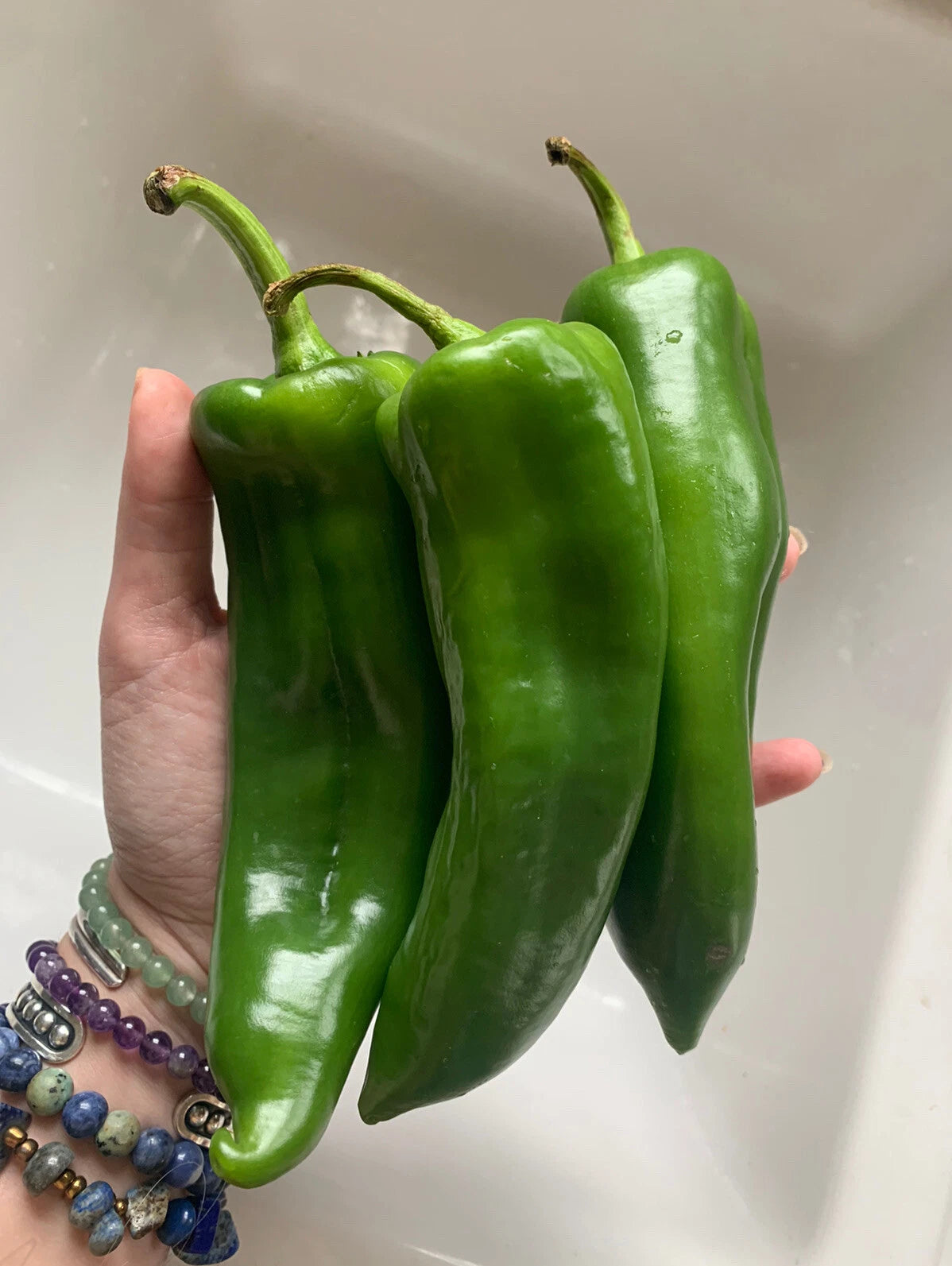 25 Organic Anaheim Chile Hot Pepper Seeds - NON-GMO Heirloom Vegetable Seeds - Capsicum annuum