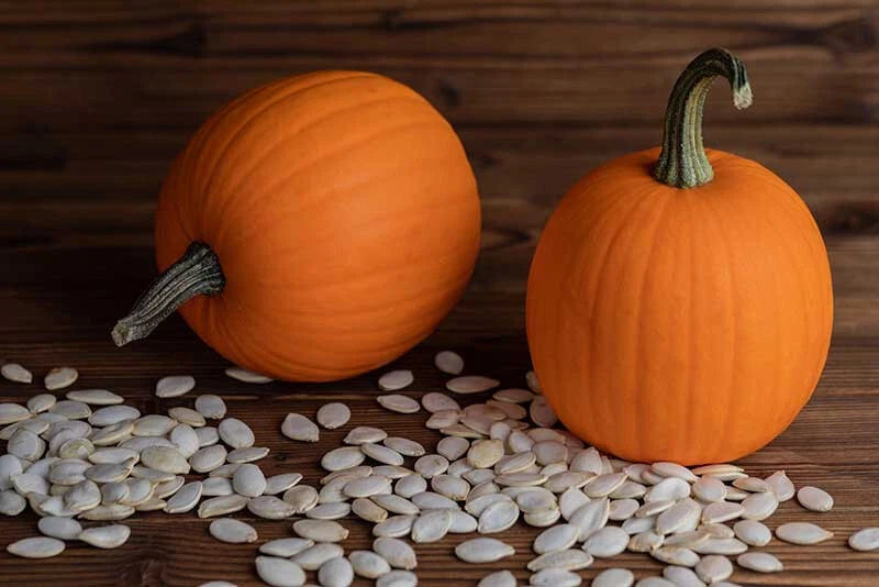 Autumn Gold Pumpkin Seeds - 25+ Pack for Garden Planting - Cucurbita pepo - USA - Free Shipping