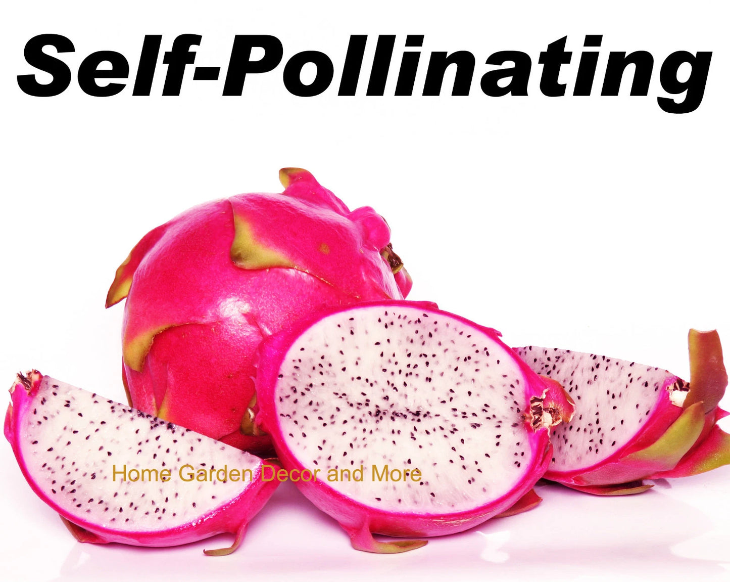 Rooted Plants 5-Pack Vietnamese Dragon Fruit White Flesh Pitaya Self Pollinating (Pitaya)