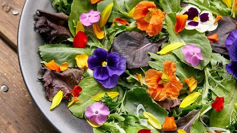 edible flower mix seeds Edible Flower Seed Mix - 100 Organic Seeds - Colorful Varieties