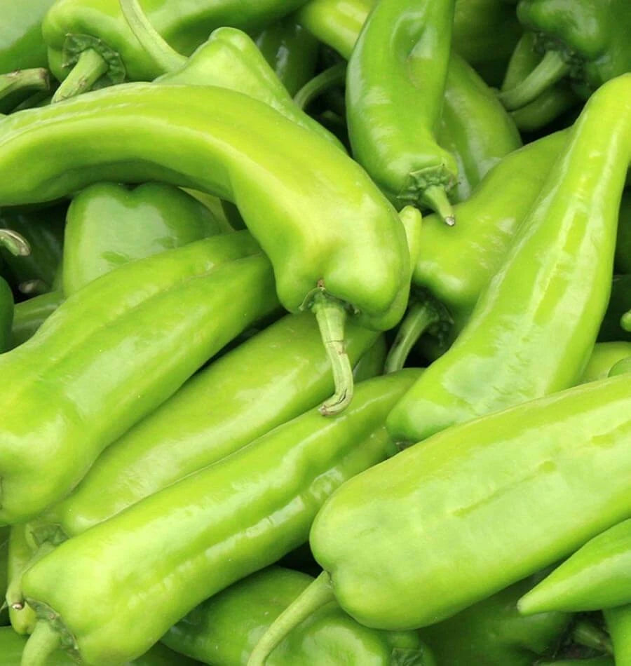 Anaheim Chile Pepper Seeds - 50+ Non-GMO Heirloom Vegetable Seeds - Capsicum annuum - USA Free Shipping