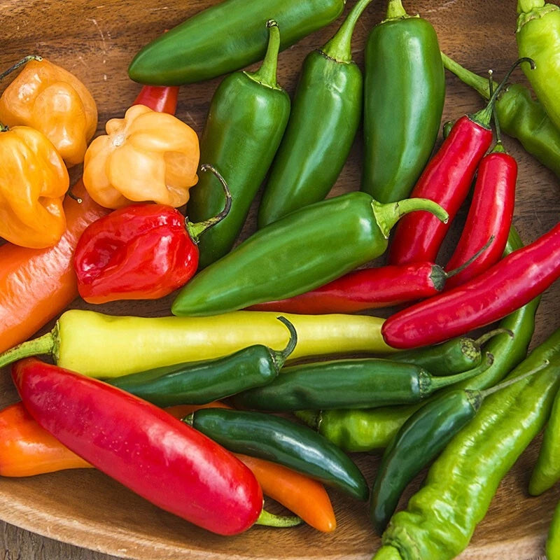 Hot and Happy Pepper Mix Seeds - 50+ Heirloom Variety - Colorful Assortment for Garden - Capsicum spp.