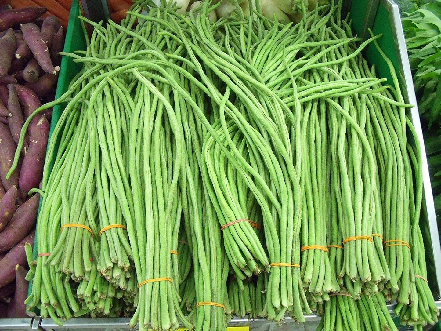 Asian Long Bean Seeds (30 Seeds) - Fast Growing Sweet Tende Variety - Ideal for Home Garden Planting