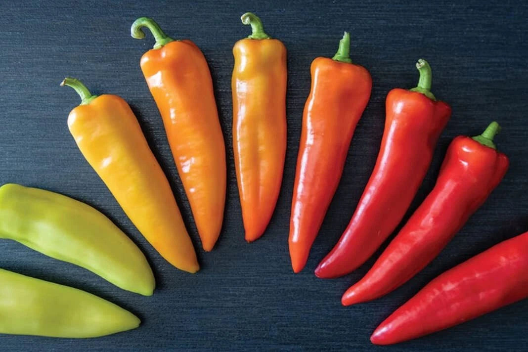 Hungarian Hot Wax Pepper Seeds - 30 Seeds for Planting