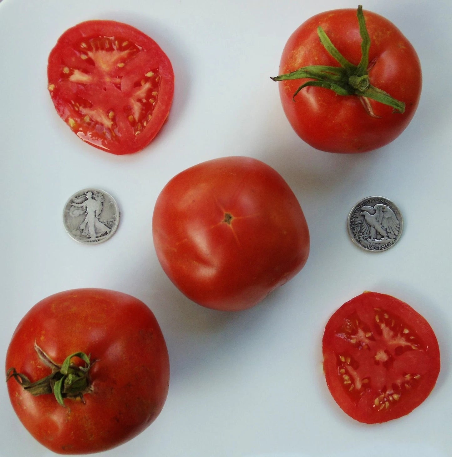 Marglobe Supreme Tomato Seeds - 25 Fresh Seeds - Heirloom Variety - Solanum lycopersicum