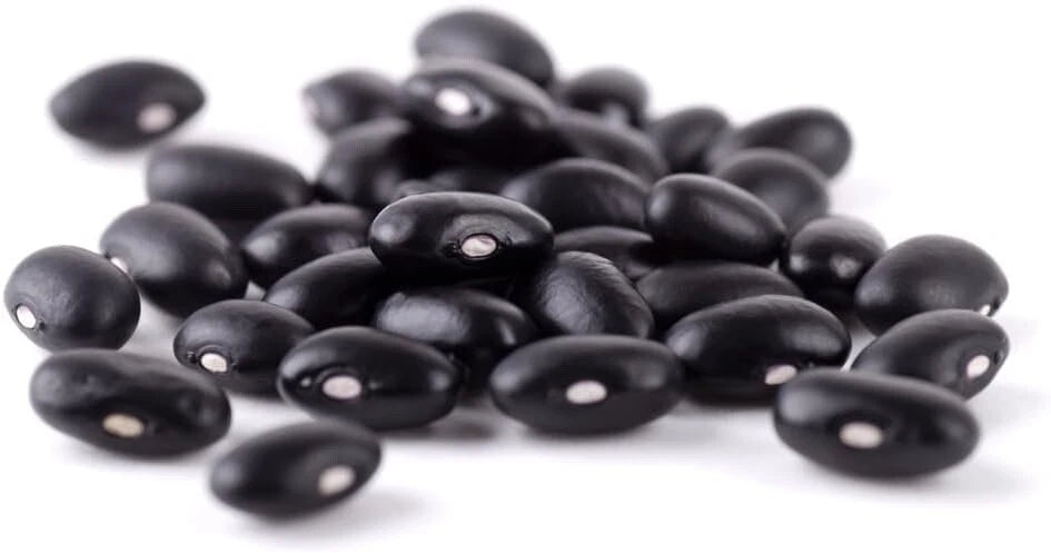 Cherokee Trail of Tears Bean Seeds - 20 Seeds for Planting - Heirloom Variety - Phaseolus vulgaris