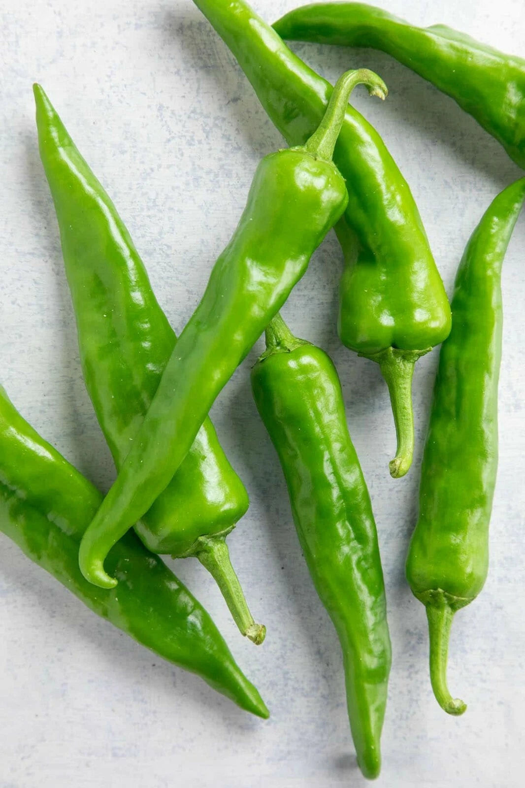 hatch chile seeds planting Hatch Sandia Chili Pepper Seeds, NuMex Variety, Hot Green Chile, Ristr –  Jayme Garden