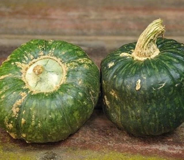 Burgess Buttercup Squash Seeds - 10 Seeds for Planting - Cucurbita maxima