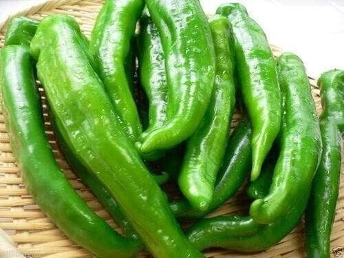Sweet Manganji Premium Pepper Seeds - 25 Fresh Quality Seeds - Capsicum annuum