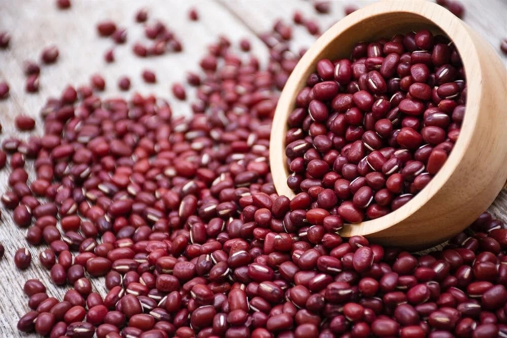 buy soybean seeds for planting Adzuki Soybean Seeds - 100 Red Bean Seeds for Planting