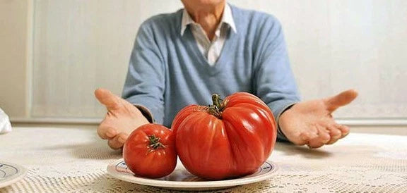Bulk 200 Behemoth Giant Tomato Seeds, Largest Fruit, Heavy Yielding Plants, Solanum lycopersicum