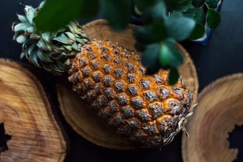 pineapple seeds for planting Giant Kew Pineapple Seeds – 15+ Seeds for Garden Planting – Ananas comosus – USA – Jayme Garden