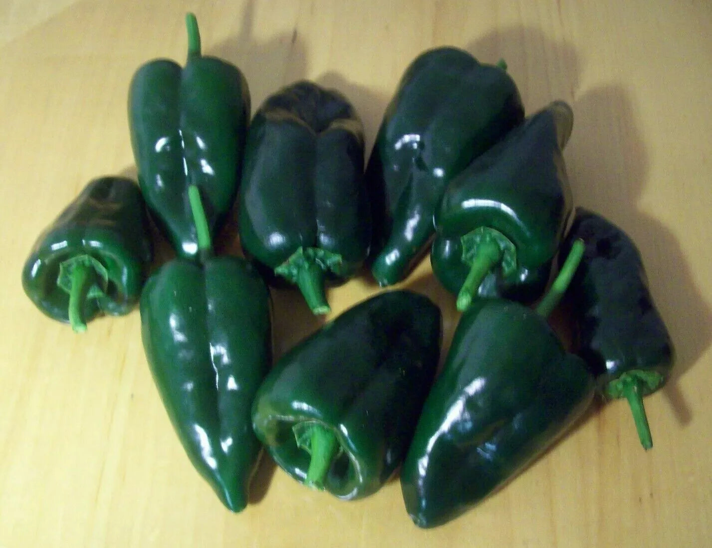 Ancho Poblano Pepper Seeds - 30+ MILD Chili Seeds for Vegetable Garden - Capsicum annuum