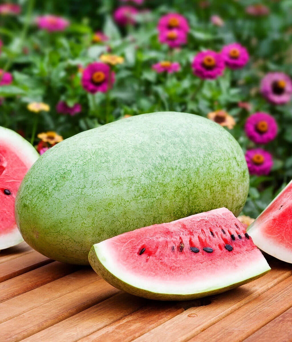 Charleston Gray Watermelon Seeds, 25 Heirloom Non-GMO Seeds, Citrullus lanatus, Free Shipping USA