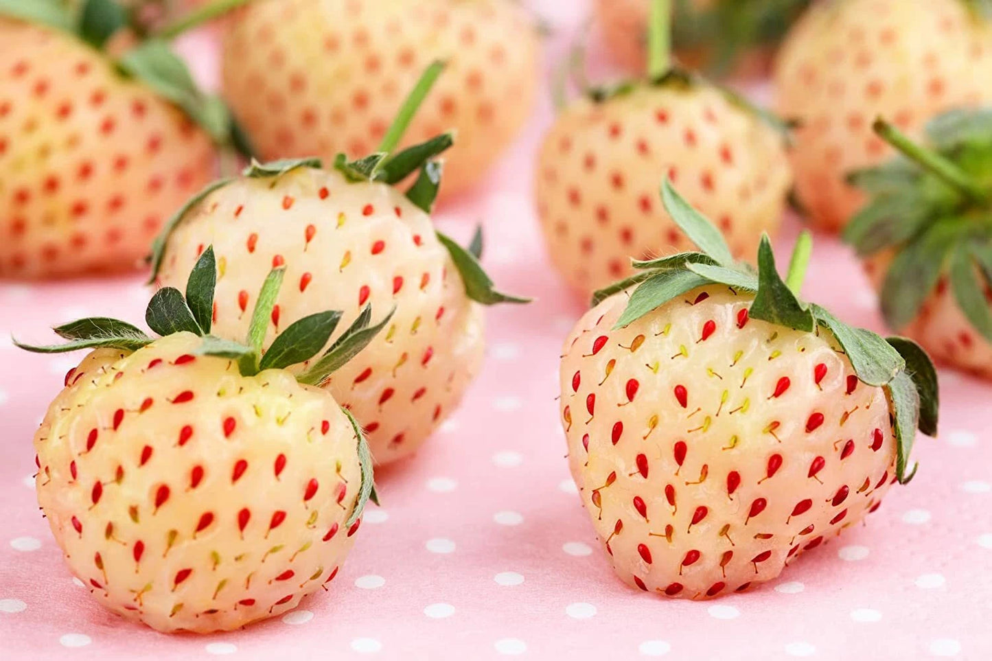 500 White Strawberry Seeds - Pineberry - USA Grown - Ideal for Planting - Non-GMO - Ships from Iowa