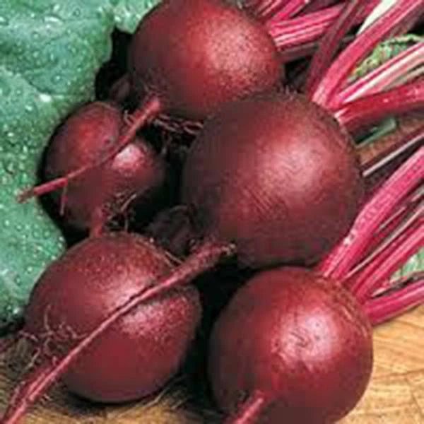 Beet Seeds - 25+ Ruby Queen Heirloom Seeds - Non-GMO, Dark Red & Sweet Beet, Beta vulgaris