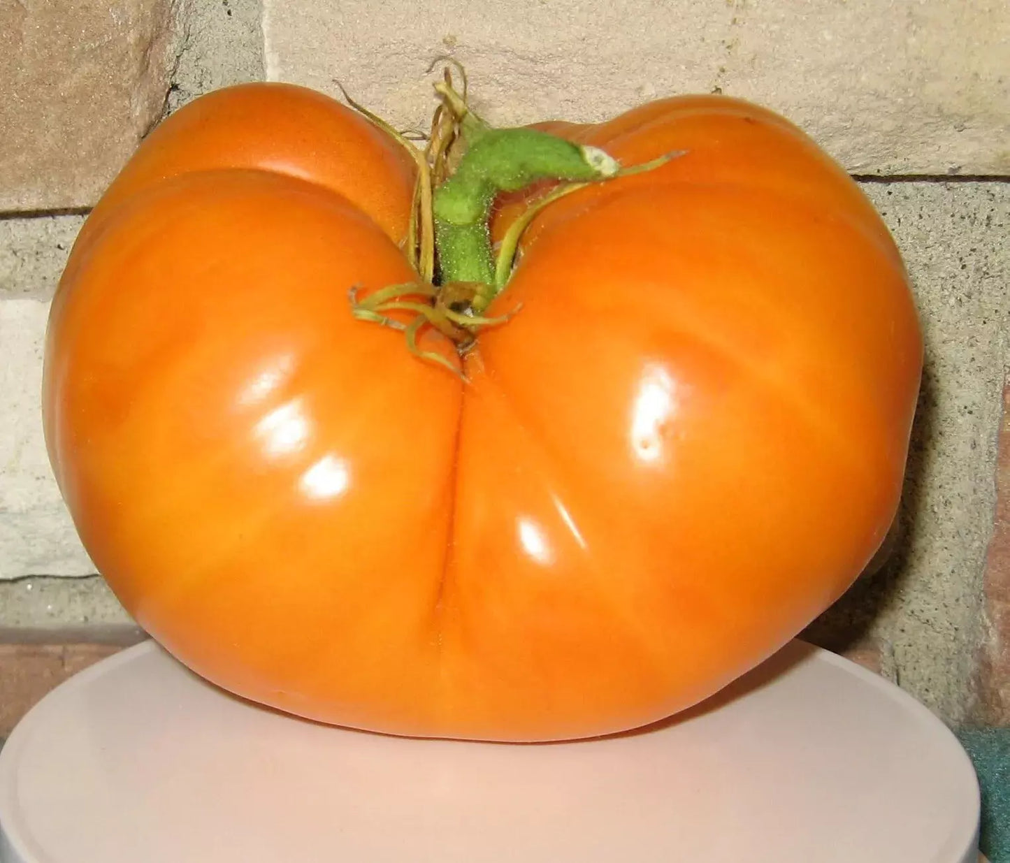 Amana Orange Tomato Seeds - 10+ Heirloom Seeds - Organic, Non-GMO, Rare Variety - Solanum lycopersicum