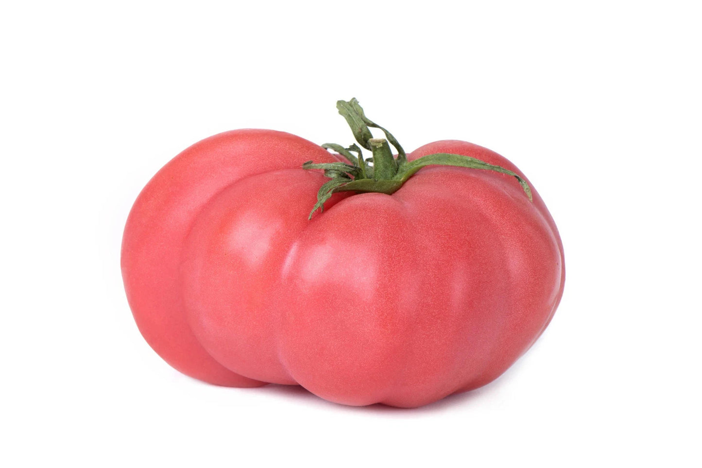 Brandywine Pink Tomato Seeds - Non-GMO Heirloom for Gardening - Solanum lycopersicum - Tracking Included