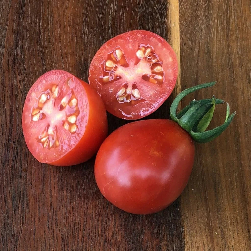 Napoli Tomato Seeds - 10+ Heirloom Organic NON-GMO - Solanum lycopersicum - Fresh Gardening Seeds