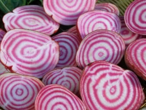 Chioggia Beet Seeds 100+ Pack, Heirloom Variety, Healthy Vegetable Garden, Beta vulgaris