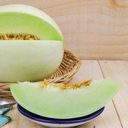 Green Honeydew Melon Seeds - 30 Pack for Planting