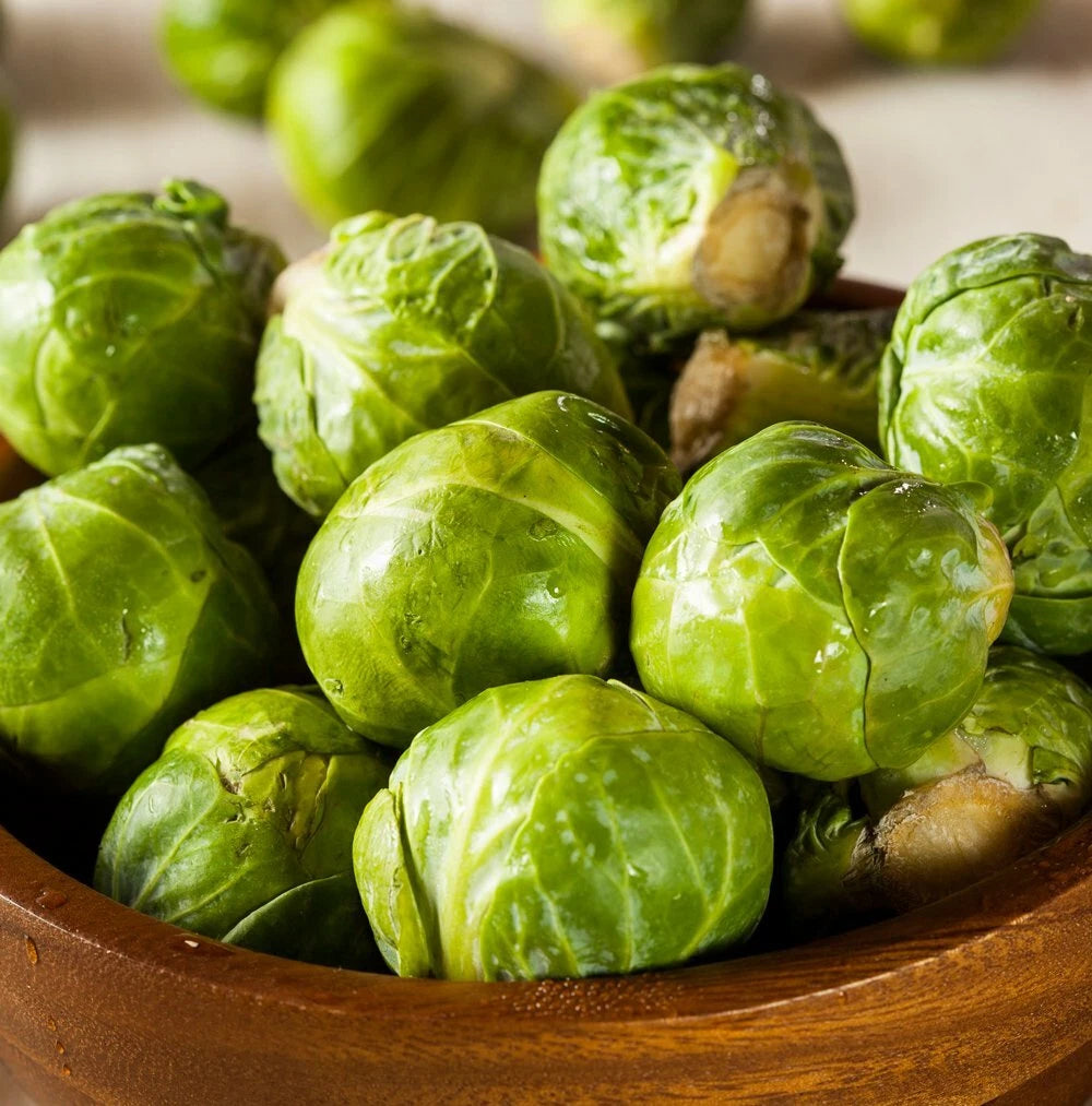 Brussel Sprouts Seeds for Planting | 600+ Seeds | Green Varieties | Brassica oleracea