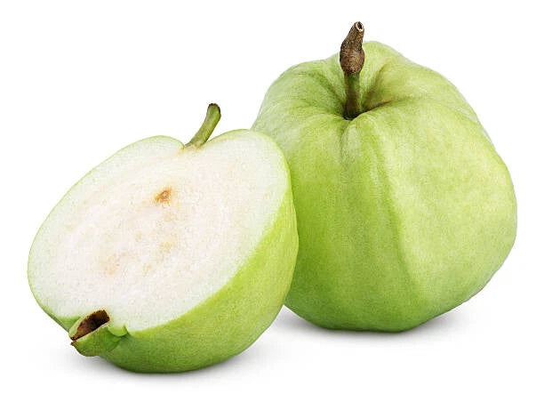 Apple Guava Seeds - 50 Pack - Tropical Fruit Variety - Psidium guajava - Ideal for Garden Planting, USA