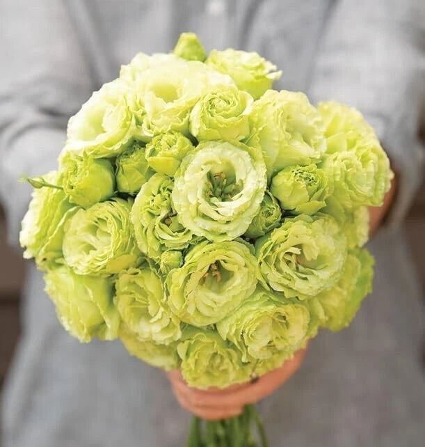 flower seeds lisianthus Lisianthus Flower Seeds