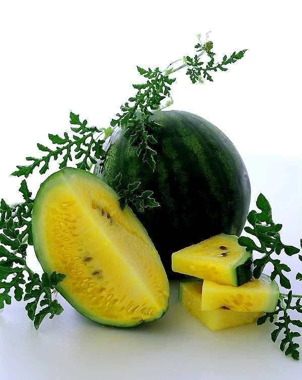 Golden Honey Watermelon Seeds - 10+ Heirloom Non-GMO - Fresh Garden Seeds - Citrullus lanatus