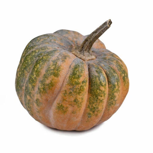 pumpkin seeds for garden Musquee De Provence Pumpkin Seeds - 25+ Heirloom Seeds for Garden Planting  - Cucurbita maxima