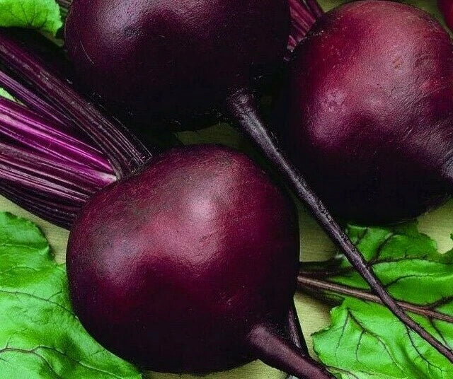 Beet Seeds 100+ Detroit Dark Red Non-GMO Garden Vegetable Beta vulgaris