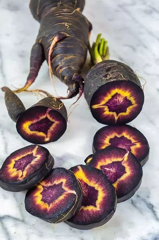 Black Nebula Carrot Seeds - 100+ Heirloom Organic NON-GMO - Rare Variety - Daucus carota