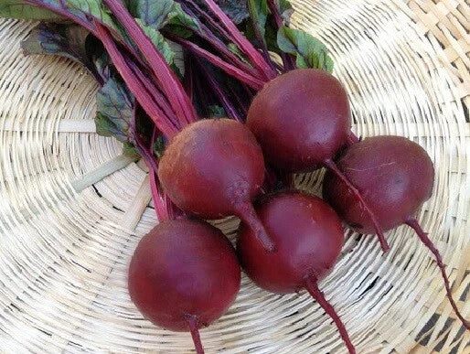 Beet Seeds - 8000 Count - Detroit Dark Red - Beta vulgaris - Frost Hardy, Perfect Globes, Popular Variety