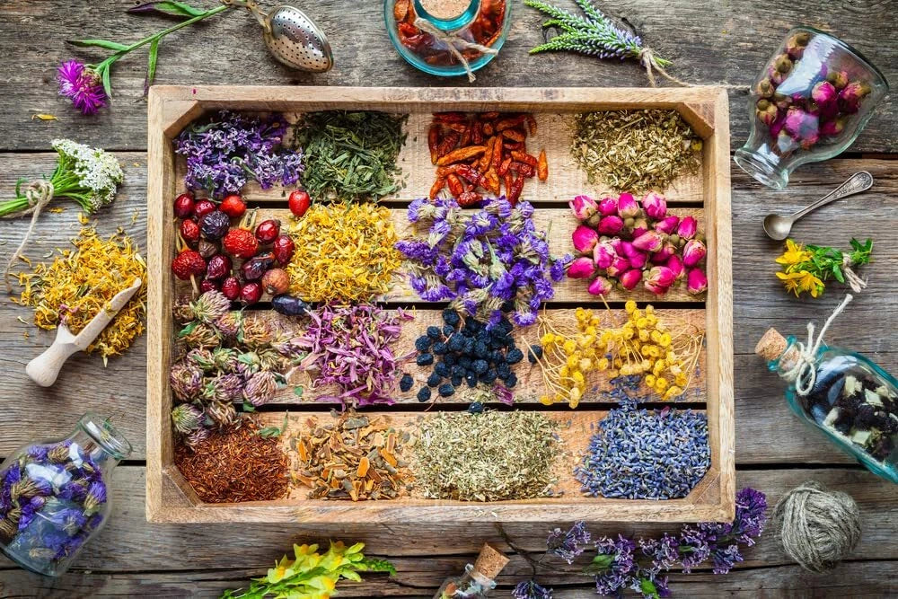 tea tree eucalyptus lavender Essential Oils Garden Seed Kit - 4 Varieties